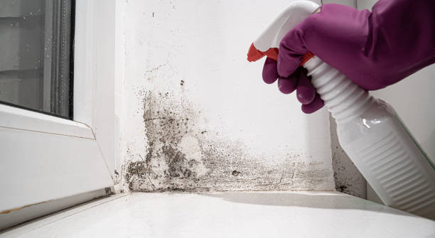 Best 24/7 water damage repair  in Millbrook, AL